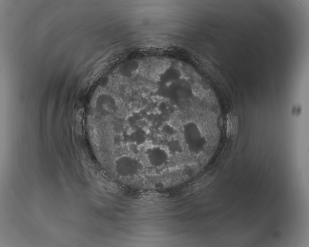 X0000111581059200908061319