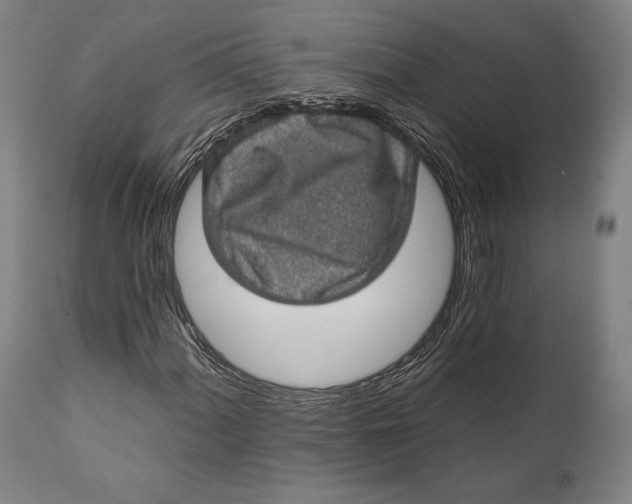 X0000111581060200908061319