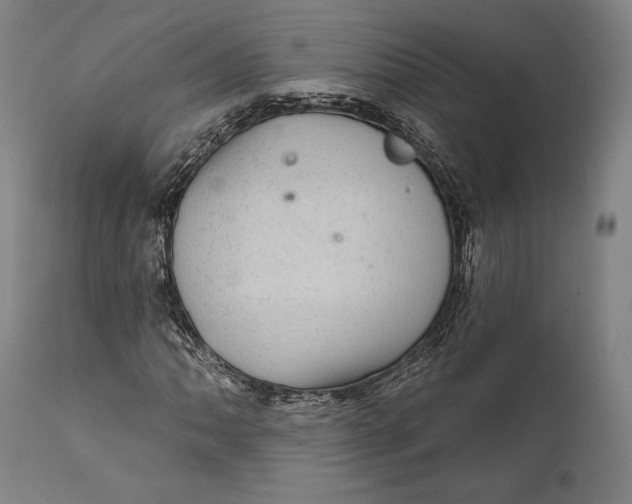 X0000111581062200908061319