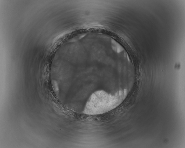 X0000111581063200908061319