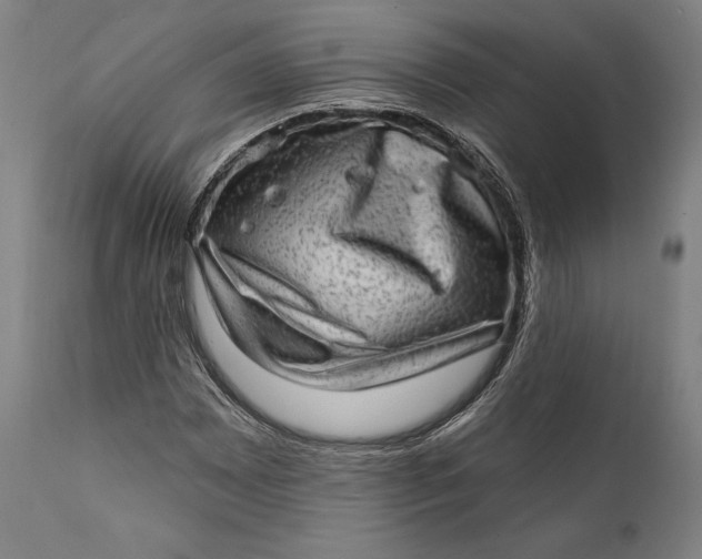 X0000111581065200908061319