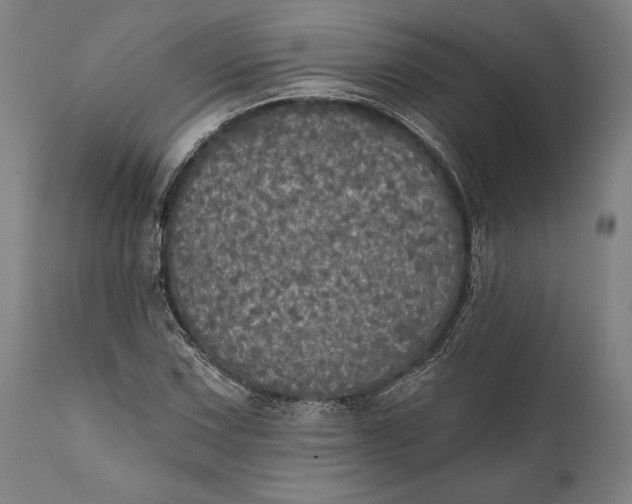 X0000111581067200908061319