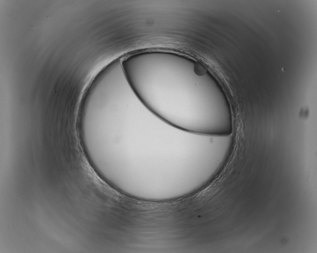 X0000111581072200908061319