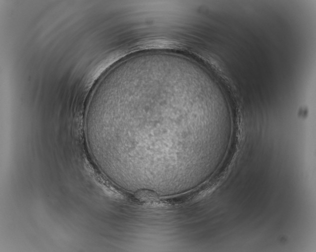 X0000111581073200908061319