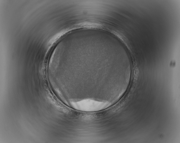 X0000111581074200908061319