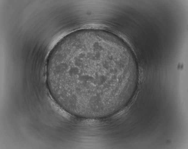 X0000111581075200908061319