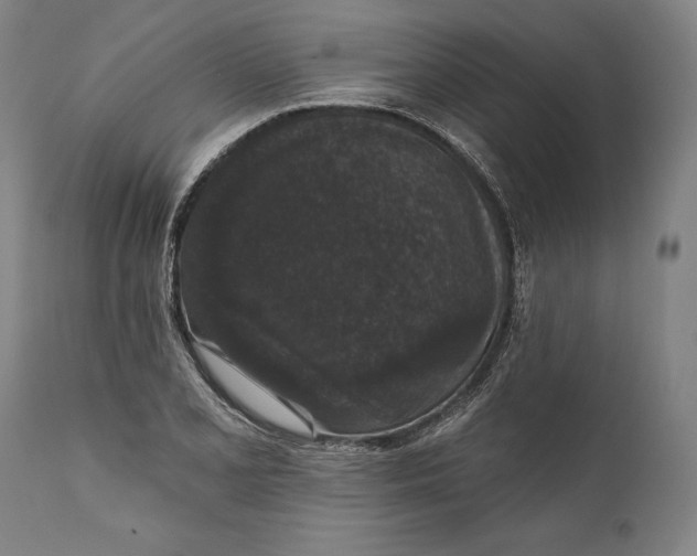 X0000111581077200908061319