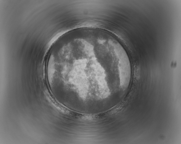 X0000111581078200908061319