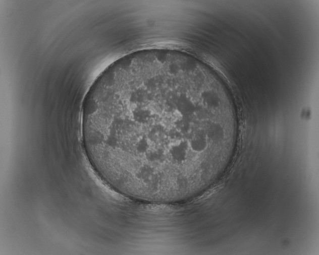 X0000111581079200908061319