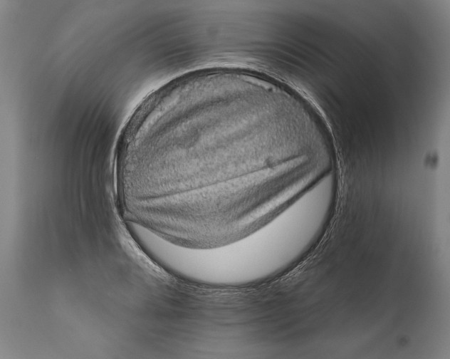 X0000111581080200908061319