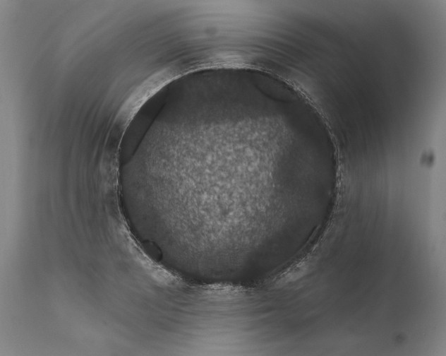 X0000111581081200908061319