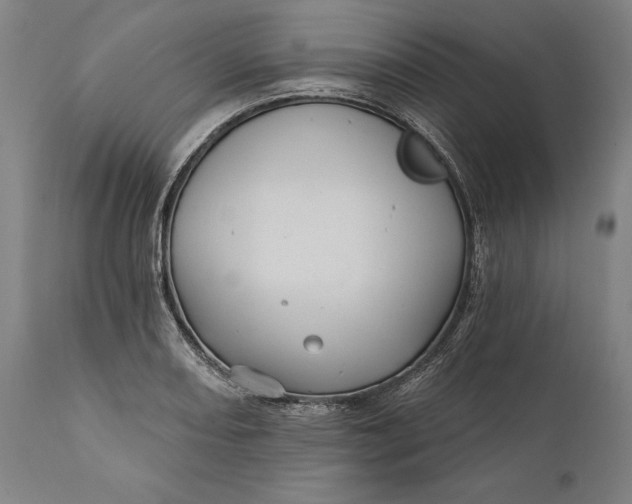 X0000111581082200908061319