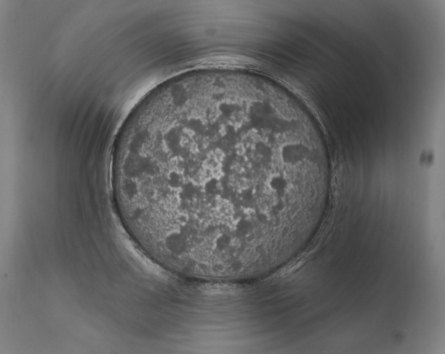 X0000111581083200908061319