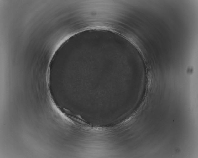 X0000111581084200908061319