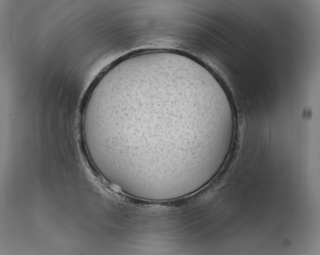 X0000111581085200908061319