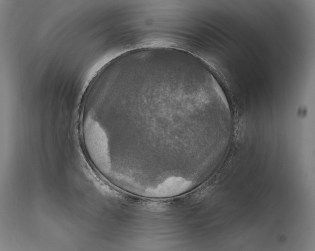 X0000111581086200908061319