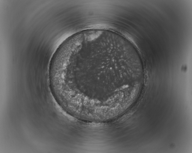 X0000111581087200908061319