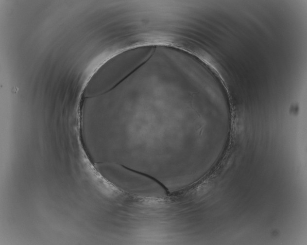 X0000111581088200908061319