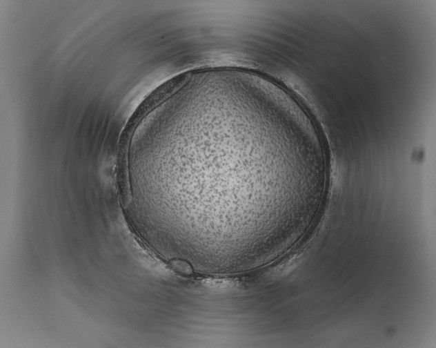 X0000111581089200908061319