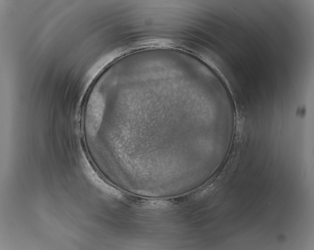 X0000111581090200908061319