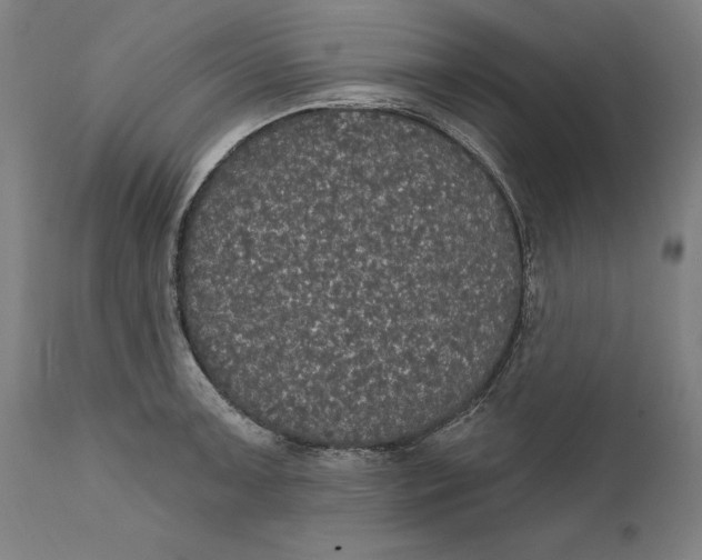 X0000111581091200908061319