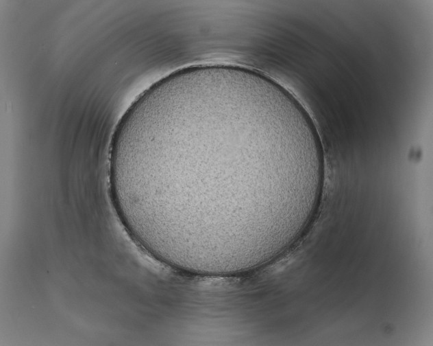 X0000111581093200908061319