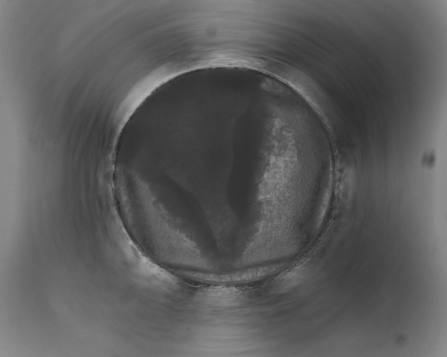 X0000111581094200908061319