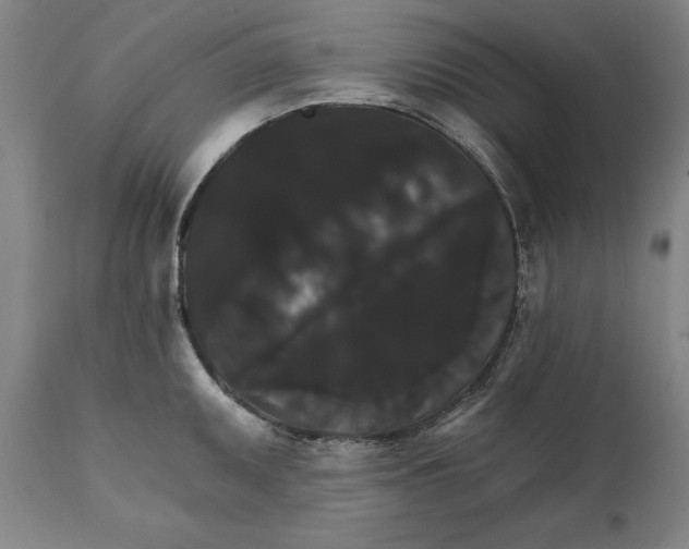 X0000111581095200908061319