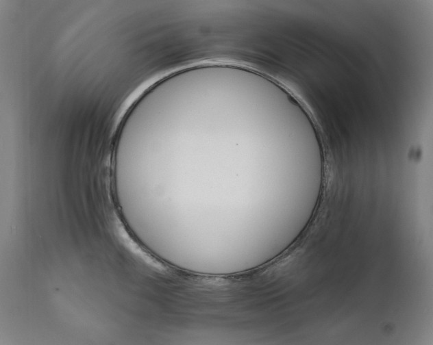 X0000111581100200908061319