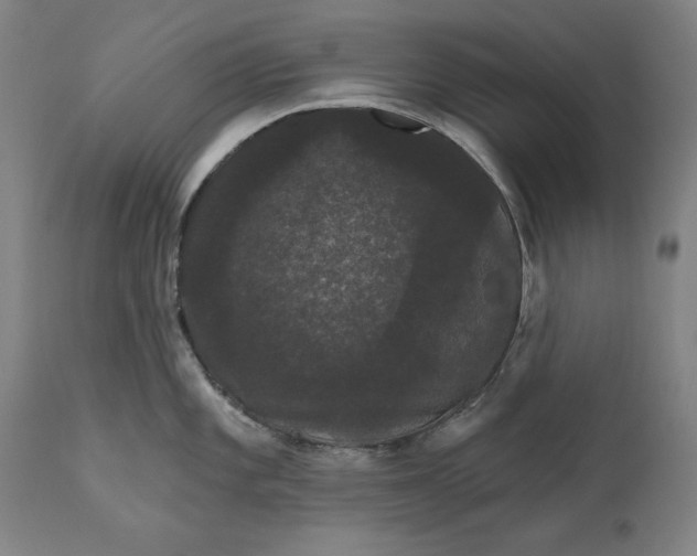 X0000111581101200908061319