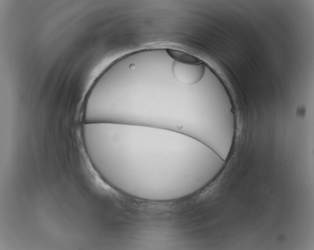 X0000111581102200908061319