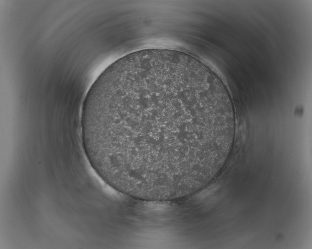 X0000111581103200908061319