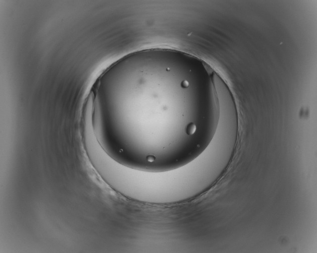 X0000111581104200908061319