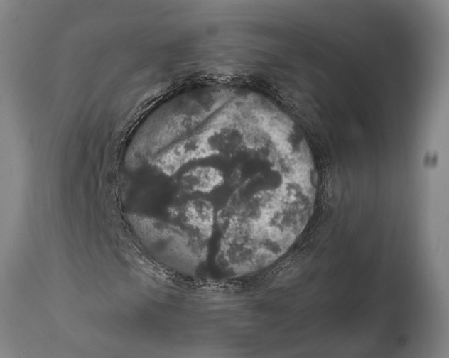 X0000111581105200908061318