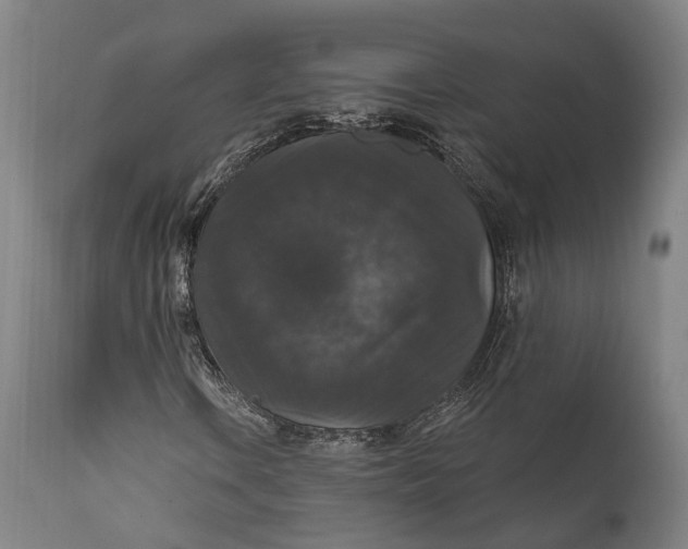 X0000111581106200908061318