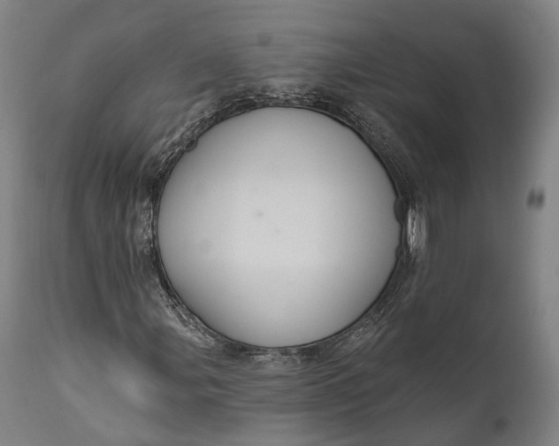 X0000111581107200908061318