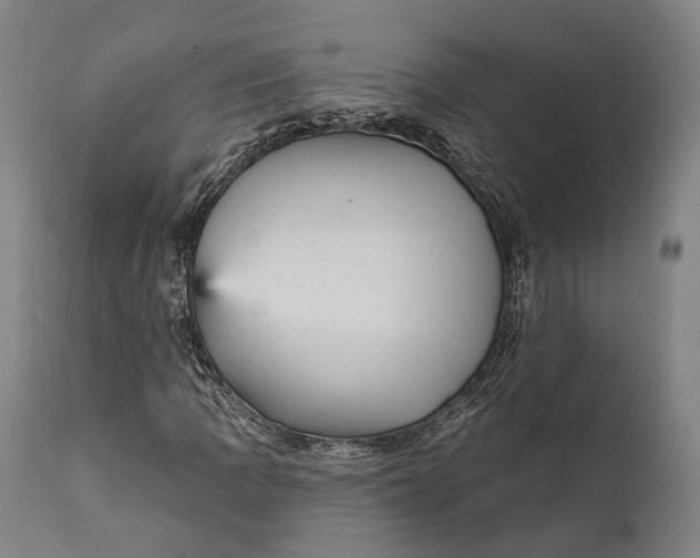 X0000111581109200908061318