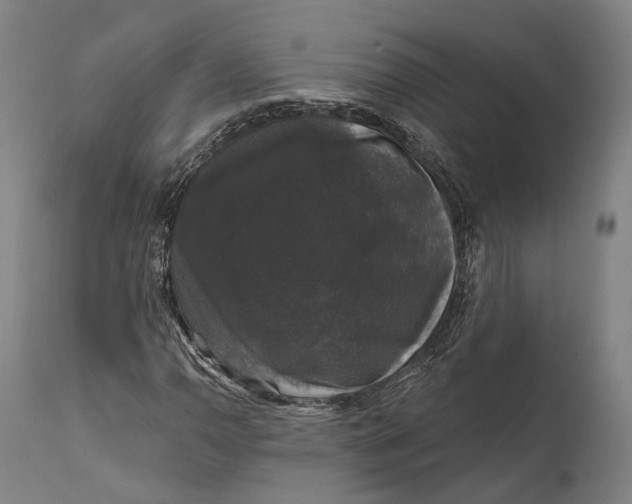 X0000111581110200908061318