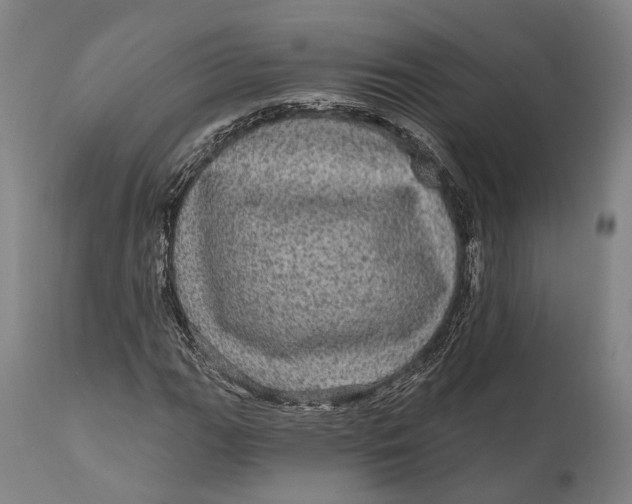 X0000111581111200908061318