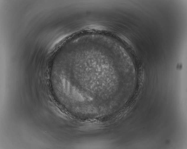 X0000111581112200908061318