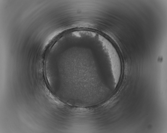 X0000111581115200908061318