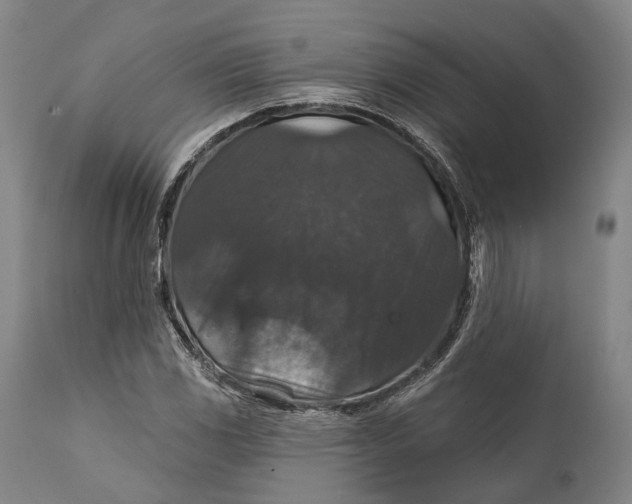 X0000111581117200908061318