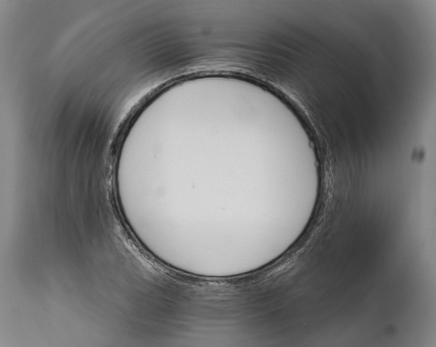 X0000111581119200908061318