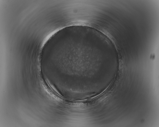 X0000111581120200908061318