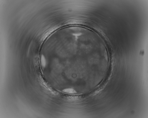 X0000111581121200908061318