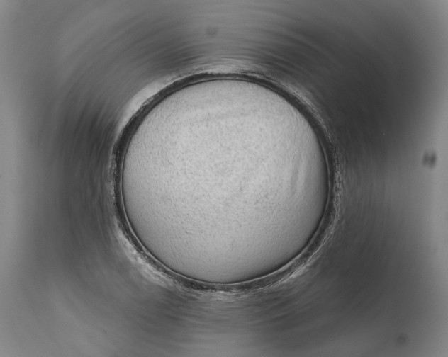 X0000111581122200908061318