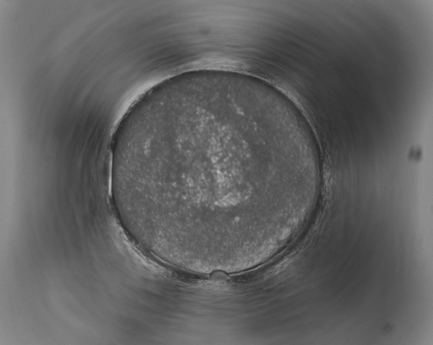 X0000111581123200908061318