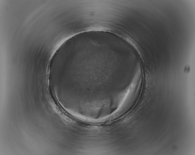 X0000111581124200908061318