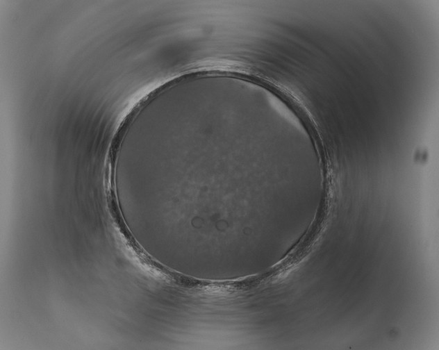 X0000111581125200908061318