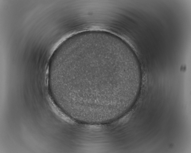 X0000111581126200908061318